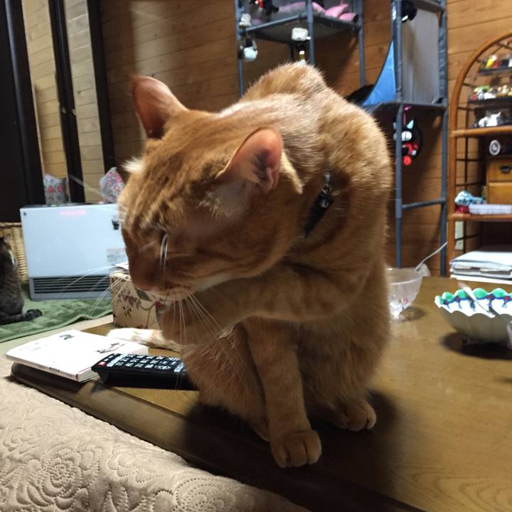 34deb8e1 7f1f 4e0e a4cd c94cabdb6fa4