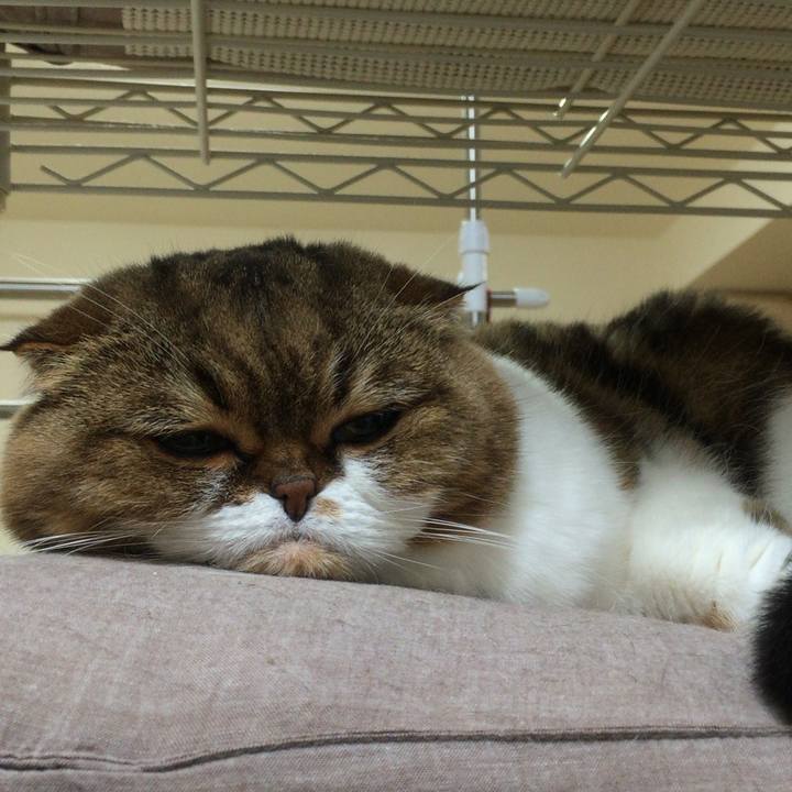 34df93ee f276 4a68 9ecb c92d0a548f96