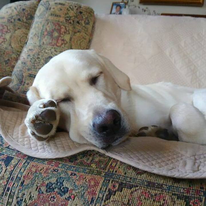 34dfb935 12ca 4805 8241 2a6b6eec7f02