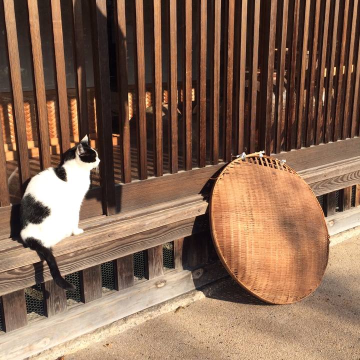 34dfff1e a70b 45ec 88c5 cd9ecb9271a5