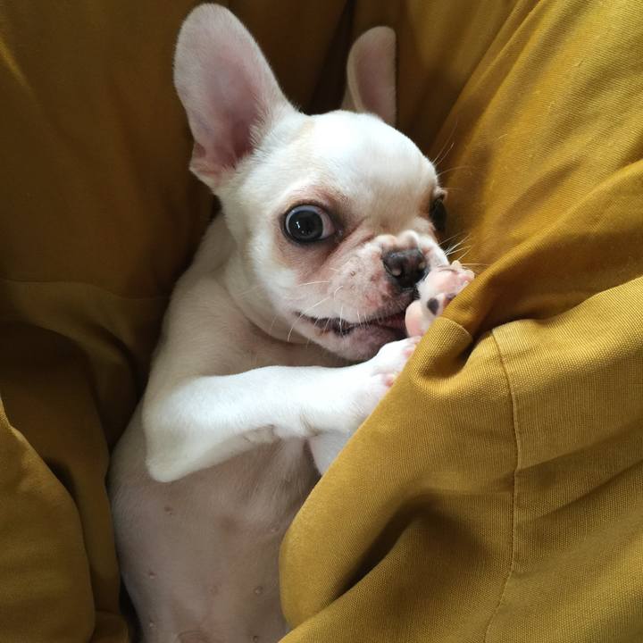 34e00e55 0e5a 45b6 bc69 cdd447eea1ea