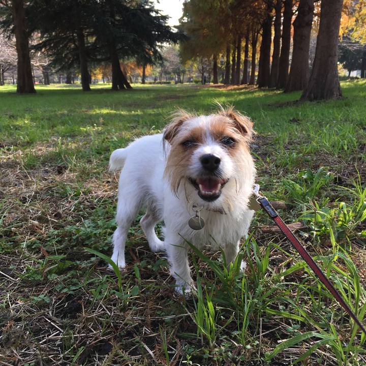 34e01d32 0c32 4ef8 8fec f753108e7b89