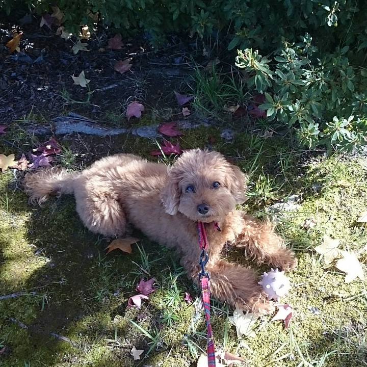 34e02038 a139 495d 995d 36c20dcd5af7