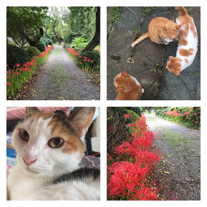 34e05219 dc41 4ab7 a1db c761924299bb