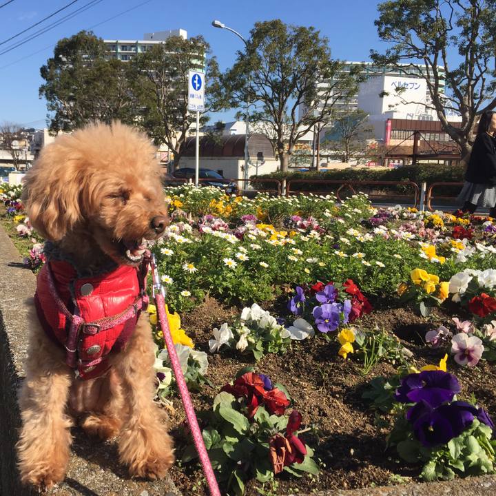 34e133ee 8ea2 463a 945e a97a5a706699