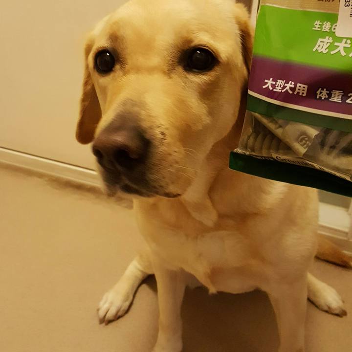 34e193fa 924f 43bb b4bd d18423582e1d