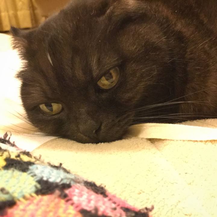 34e1fbec 1067 4ba4 ae05 0c3d76fb97a6