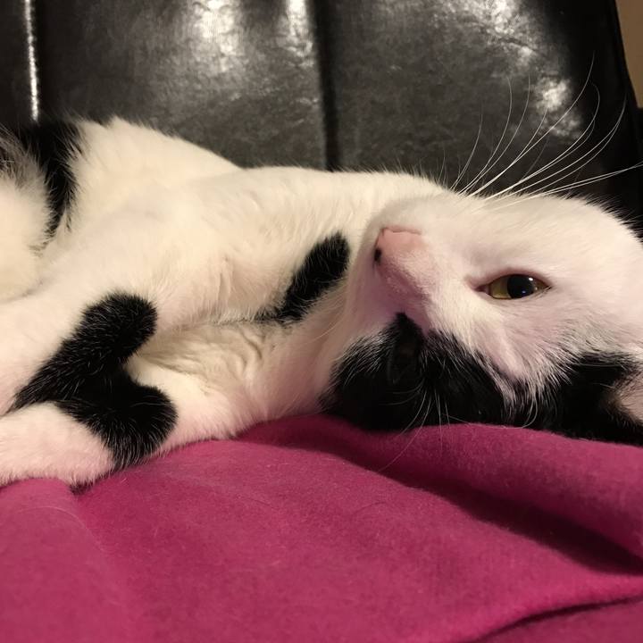 34e206bc 6a34 4fd6 a8b6 48ad31ef9cad