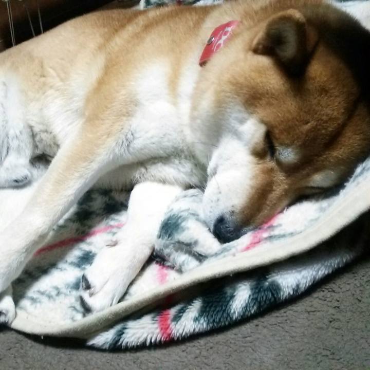 34e249c2 3e68 490a bacf ea01fa576196