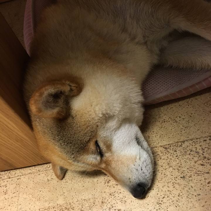 34e27a21 921e 4f95 befe 03cc116ce638