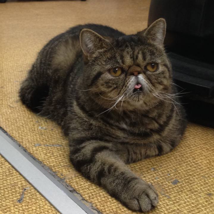 34e2f2c9 e76e 44a7 a641 9b4a49ca4ee8