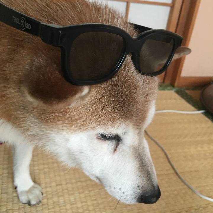 34e32893 102b 44ee a332 0288dd042ddb