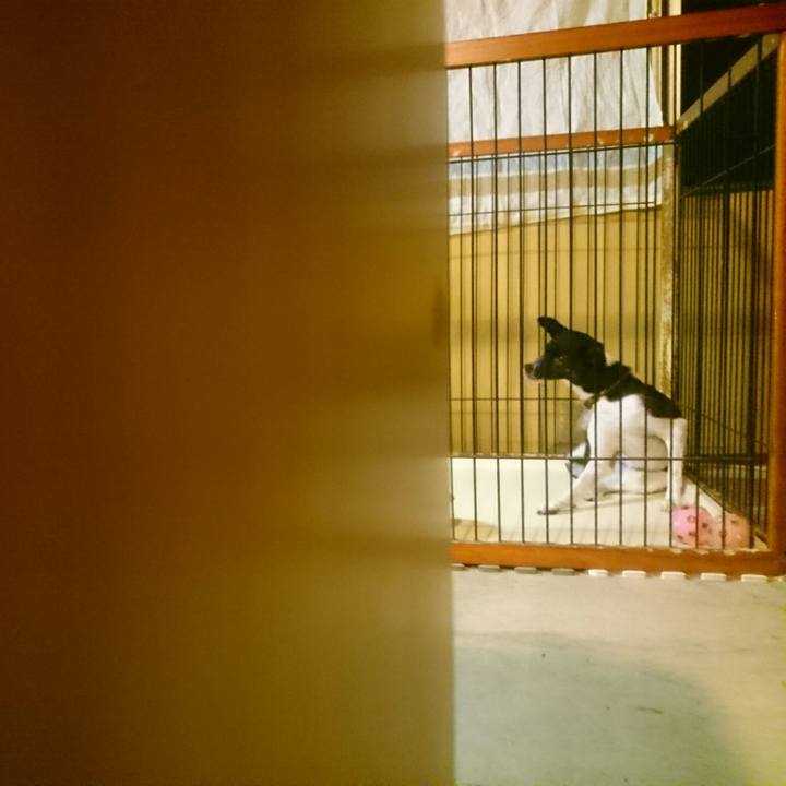 34e3483f 9cf9 4898 a1e7 b20e3b0b36a8