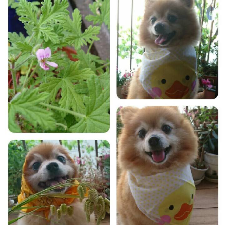 34e3f104 f2f1 49b6 98f7 96d0151a4cce