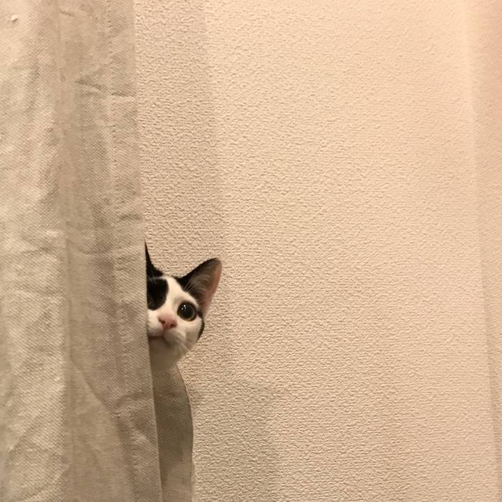 34e42429 0f63 4b32 bdb9 86e3727ee51e