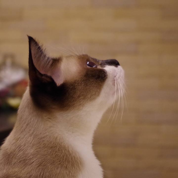 34e4396e 2b32 4e8b 824c cca9cdc6365e