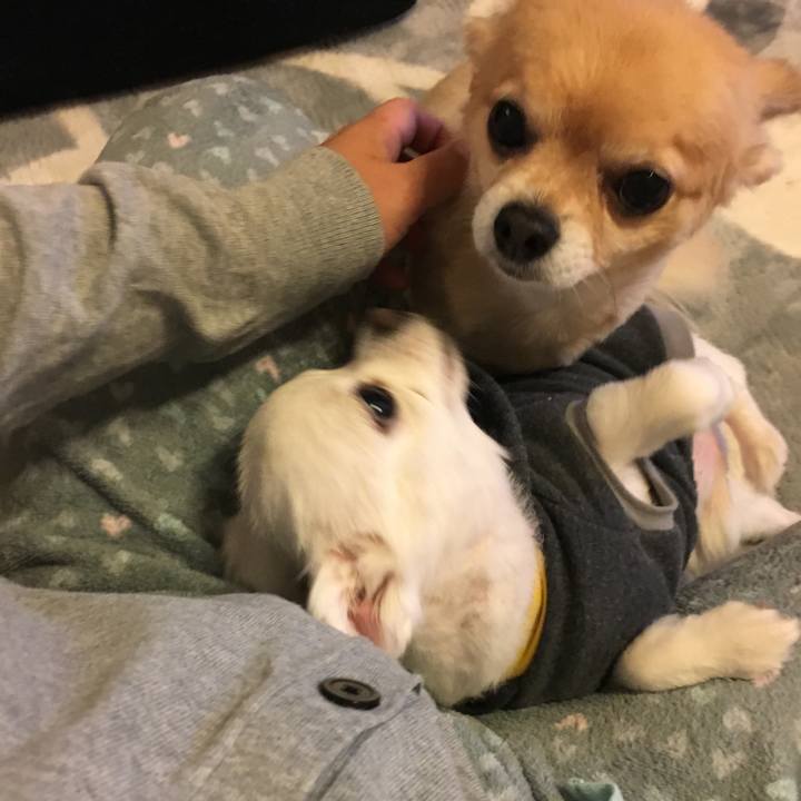 34e5d221 eb54 4033 b157 cbc415fd6302