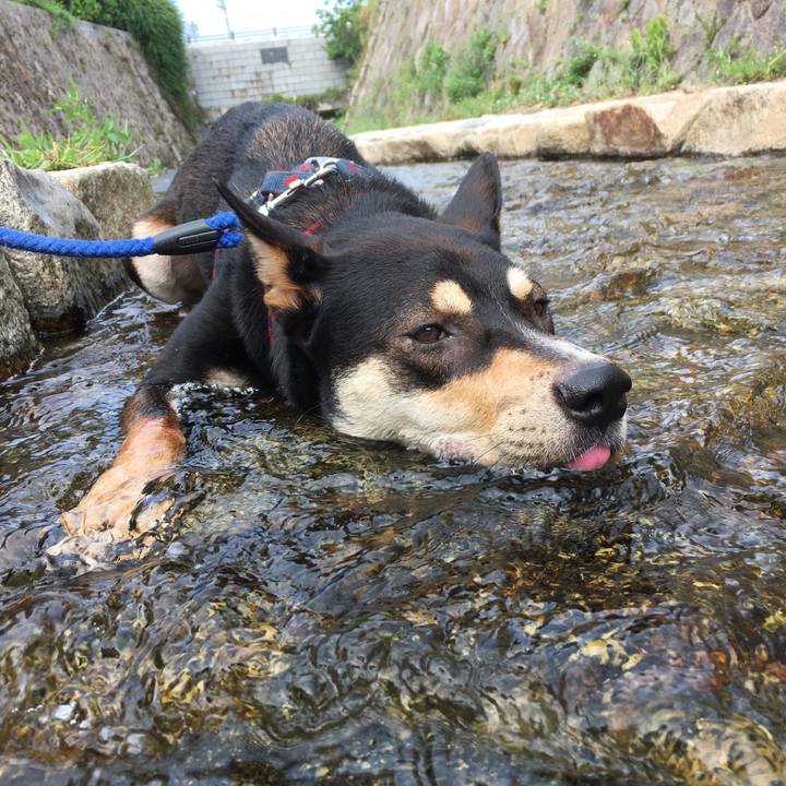 34e630ff 1cde 41dc 87e3 30a5ea95667b