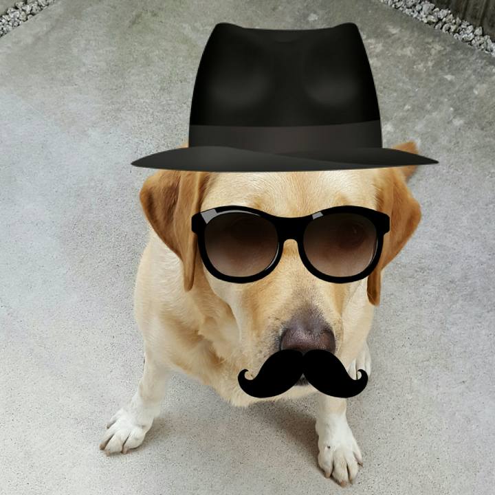 34e6742f 0545 43f0 baf9 36aa5da22403