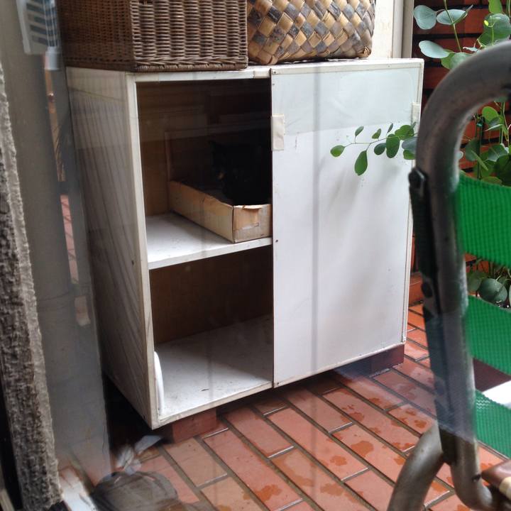 34e72d47 9090 4519 911c 0732582d1c7a