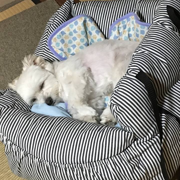 34e7cd52 1482 4a39 bfa3 66a34c07f163