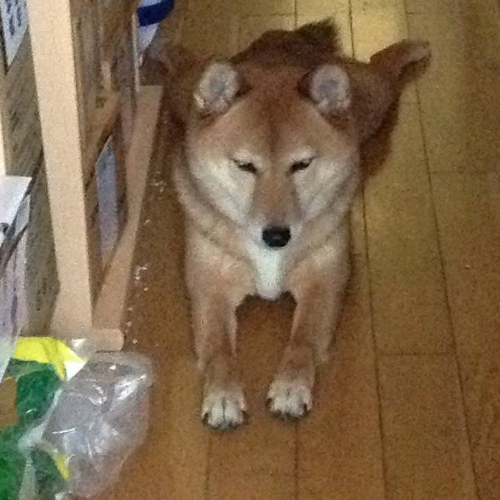 34e80b1a f289 4cc6 a7c2 fa4d68409679