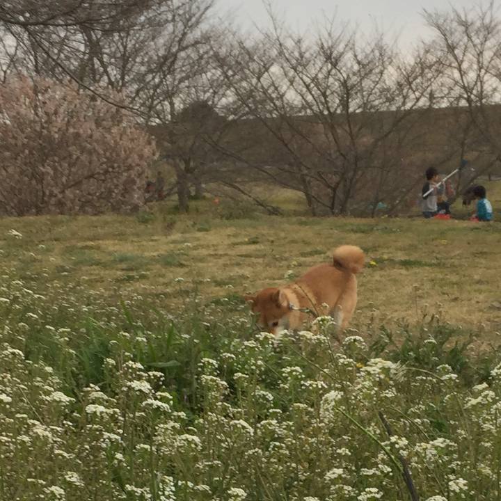 34e89cae 120d 4ab5 9d23 1845af51a605