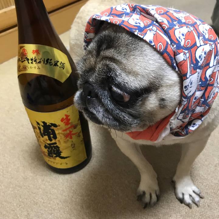 34e8f79b d1fc 4917 aa1a e4b73f0d5dc7