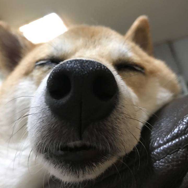 34e90f3a 9a54 4747 82cd 9124de2750e9