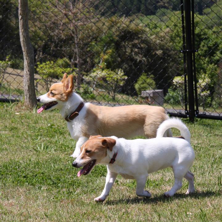 34e91e0b 8f6a 4224 b876 13b6d6cedc7f