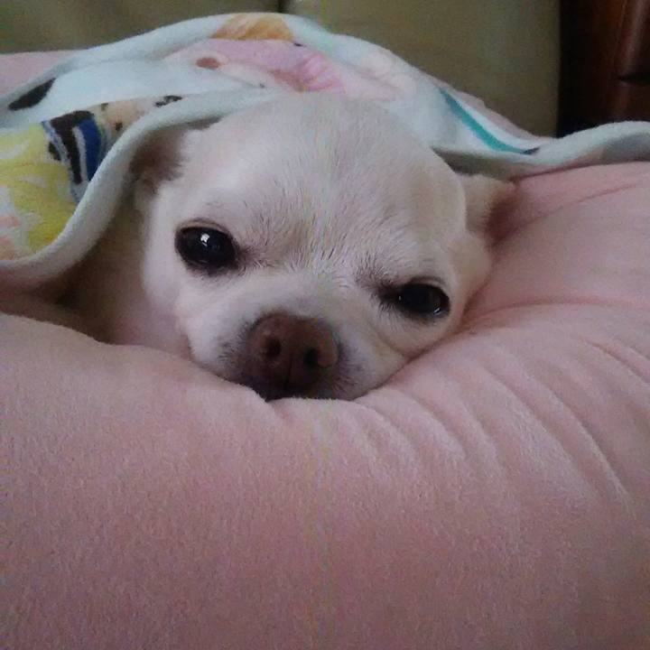 34e9ceb9 880f 4e37 b280 26357cd82861