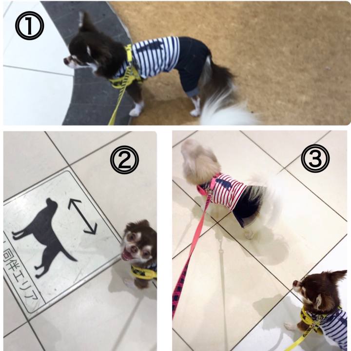 34e9f684 0047 4893 99df 673062945743