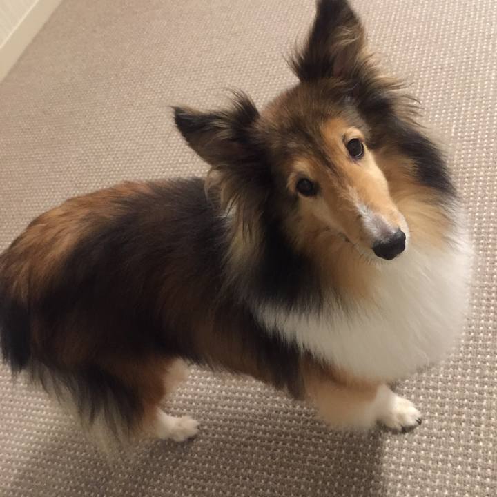 34ea0789 55b6 4f13 ad29 85e29a8c7293