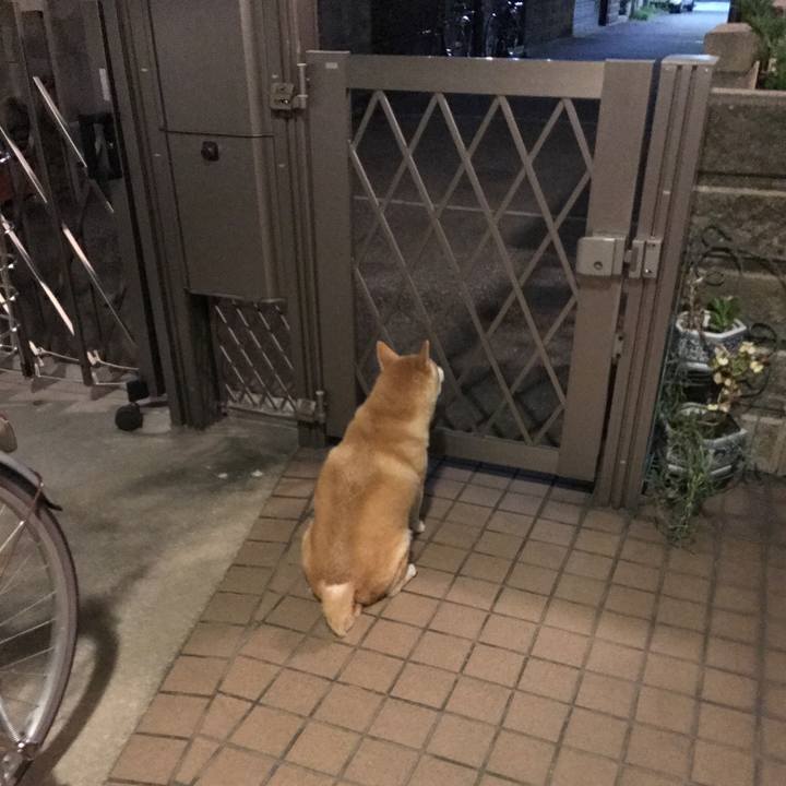 34ea417a ba2b 4689 bb39 f28a92c63190