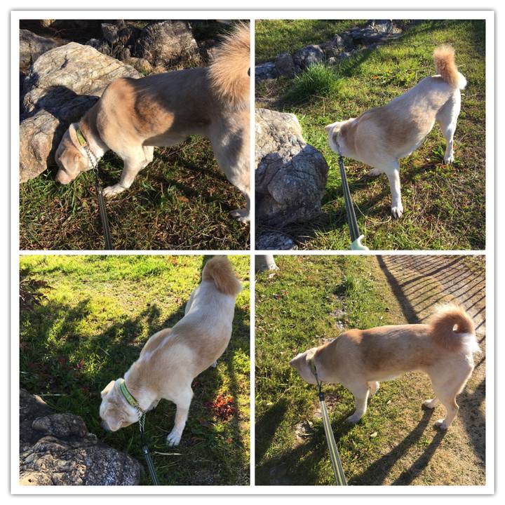 34ea90a1 c36a 4f84 a461 a20d1655c968