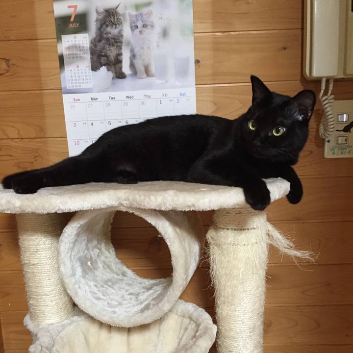 34ea99b8 865b 49cf 9eaa 7672f752e844