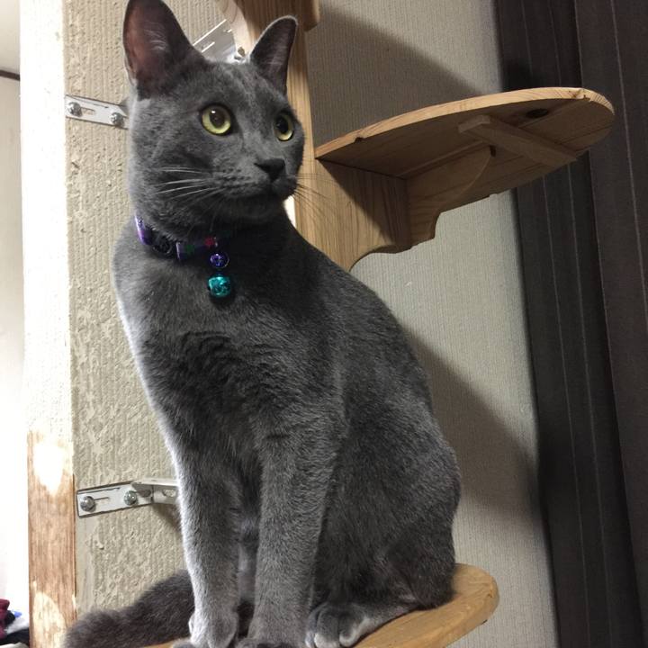 34eab1ef aadb 440e b7a9 e9f3272ecce1