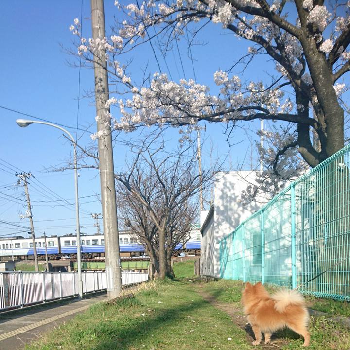 34ec024d e5ed 49d2 a61a c46f90e71352