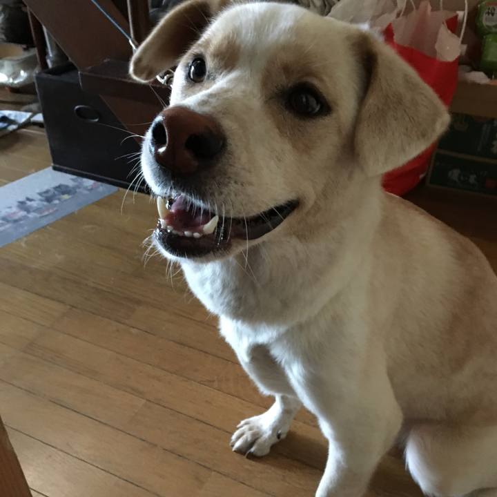 34ece645 95e4 43c9 abb3 13b56fc78b6b