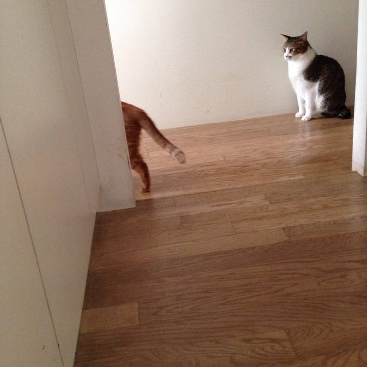 34ed2065 eafc 4bc4 97bc b13881e4fdea