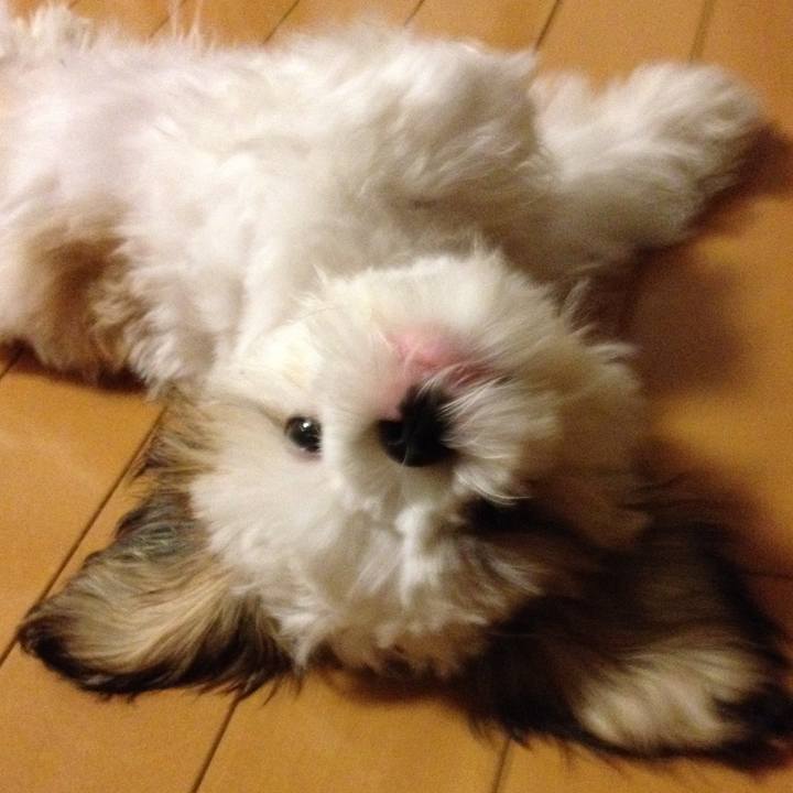 34eda328 6be7 4be2 aadb 33de135d3410