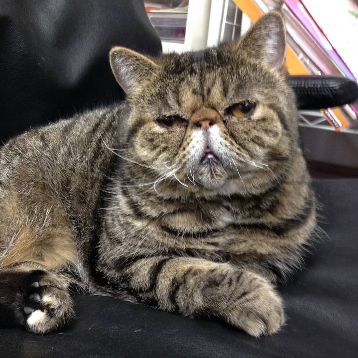 34ee0fbc 77d0 4268 b4cd c3183d70d798