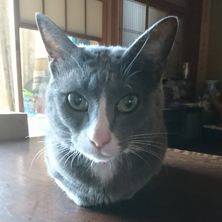 34ee38df f97b 4a1a a670 6d2a5895c549