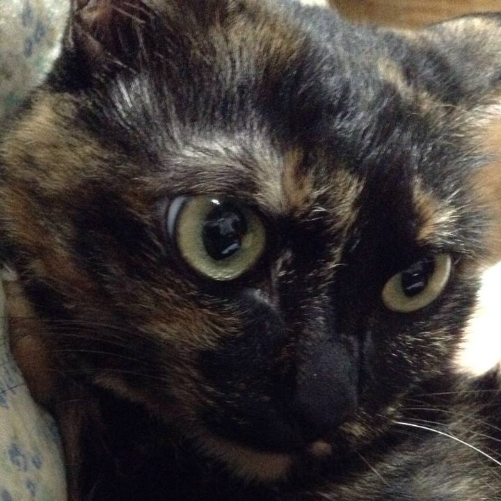 34ef211c 02cc 4277 b829 b64549e22283