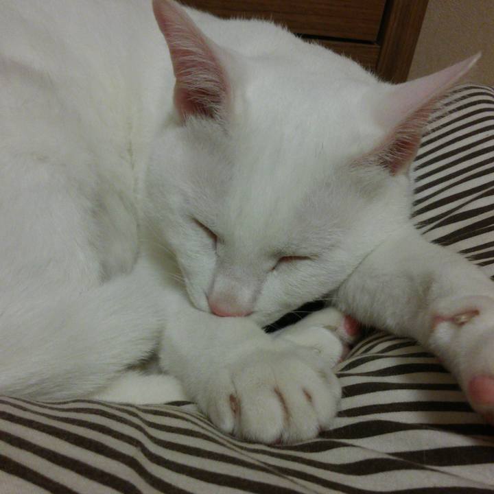 34ef4a9a 0872 45ff 8404 a074878e9404