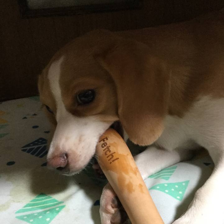 34efa475 363f 40d4 9739 d6fa12f85809