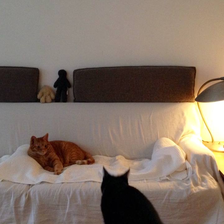 34f0e3ab 669f 4ba8 b346 461815f00fb3