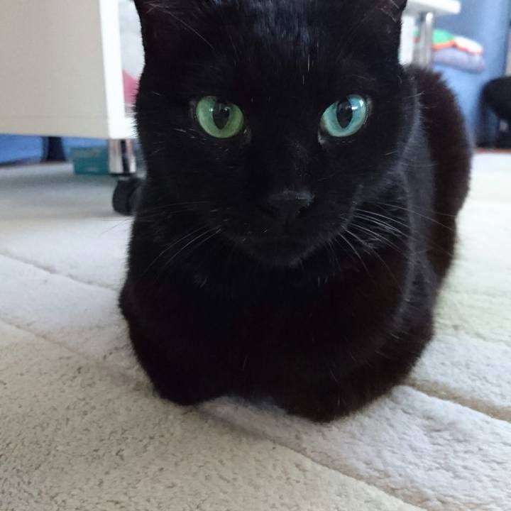 34f131aa 0770 426d 90fa 8259fe7bfd39