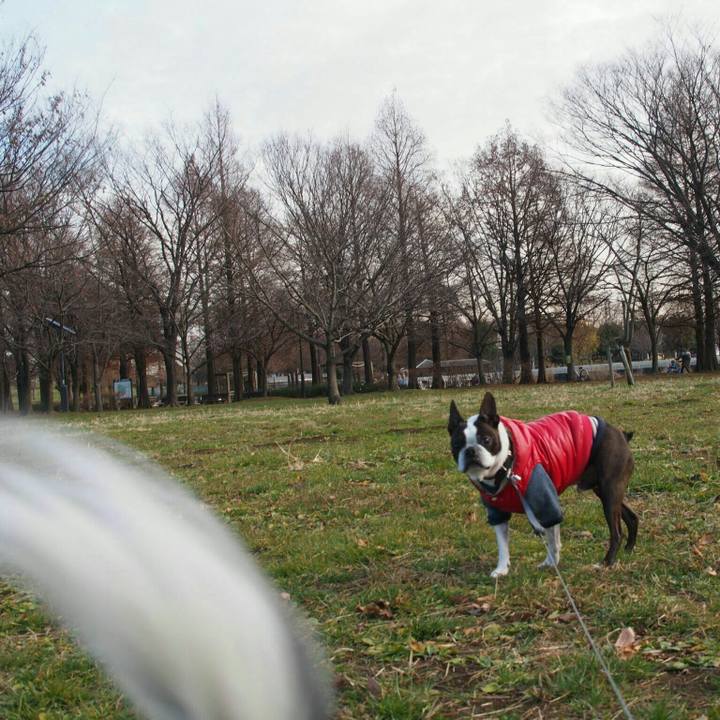 34f1edbd 9652 4bfa b26e 6d32e3e92c30