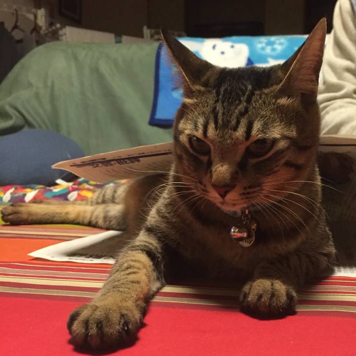 34f1f7a4 ab37 4fa0 8793 e1a09f962b4f